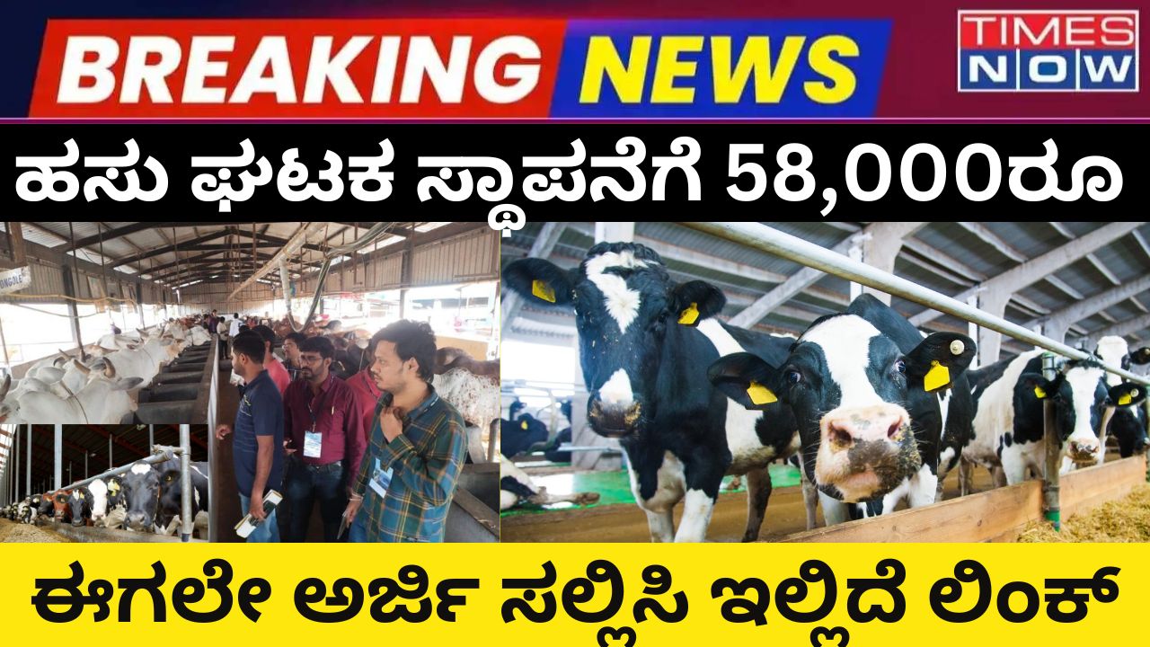 Allowance of subsidy for establishment of cow unit