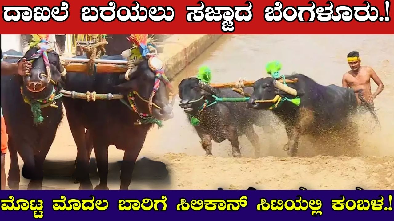 Bengaluru To Witness Kambala for The First Time